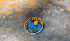 AMERICANAFEST Butterfly Enamel Pin